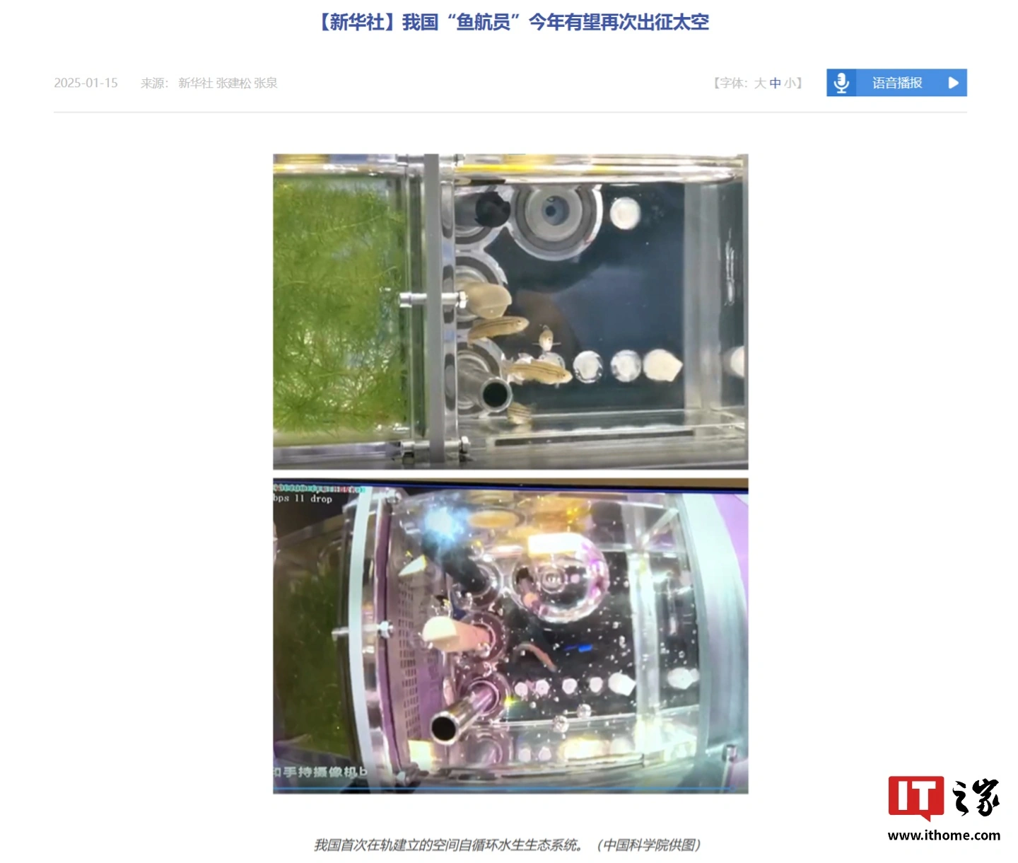 星欧平台：我国“鱼航员”斑马鱼今年有望再次出征太空