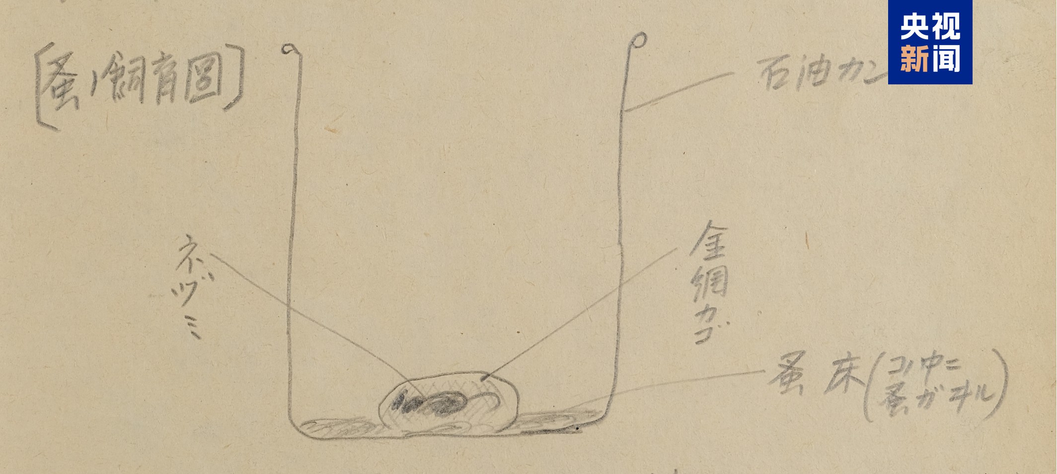 星欧娱乐官方:731再添罪证!月产携鼠疫菌跳蚤10公斤 关押中国人开展活体实验