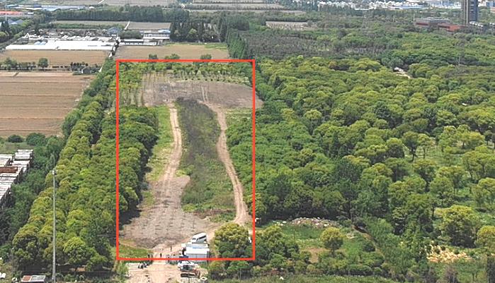 星欧娱乐官方：上海市委决定，对150人追责问责，其中局级干部8人